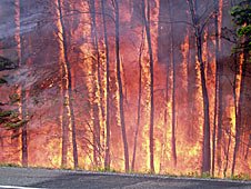  Photo of flames along the Parks Highway during the Parks Highway Fire in 2006.