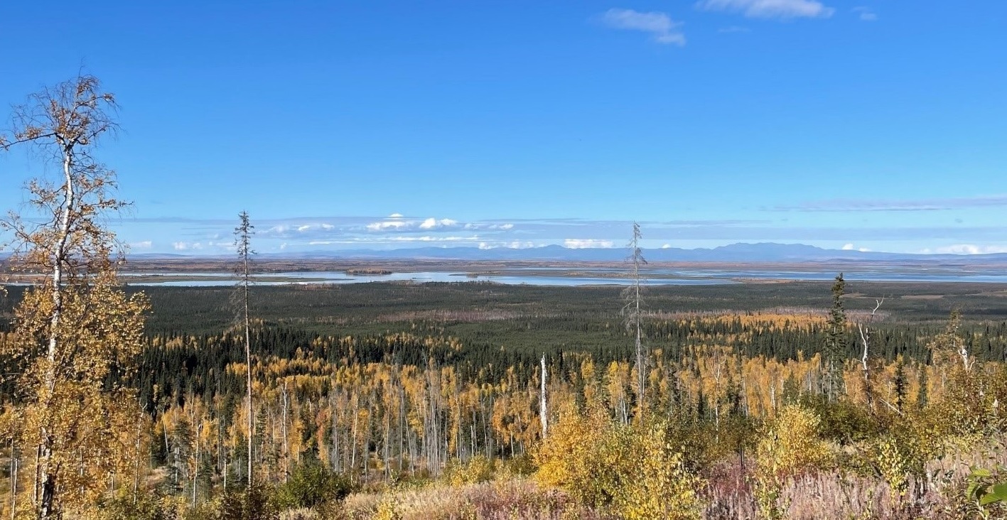 Tanana Valley State Forest
