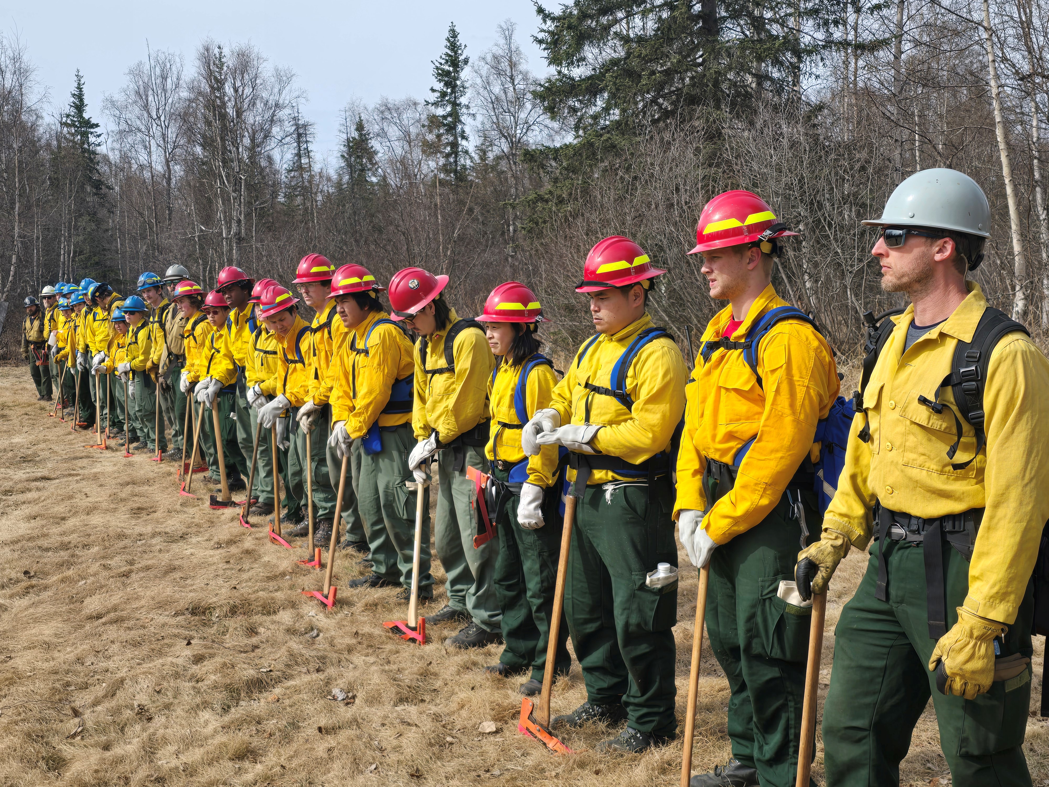 2026 DFFP WILDLAND FIRE ACADEMIES