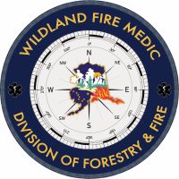 Fire Medic Logo