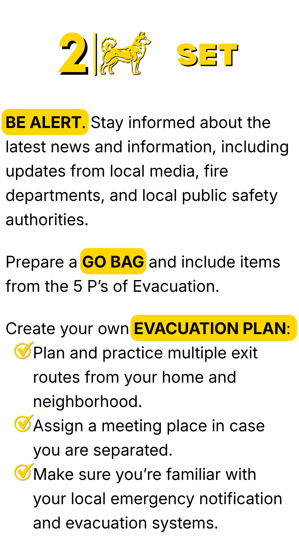 Set Information