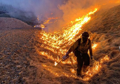 Prescribed Fire Image