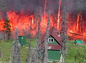 Flames encroaching on a cabin on the Kenai Peninsula. The fire is burning in beetle-killed trees.
