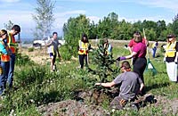 Community Forestry employees working with the public to properly plant a tree.