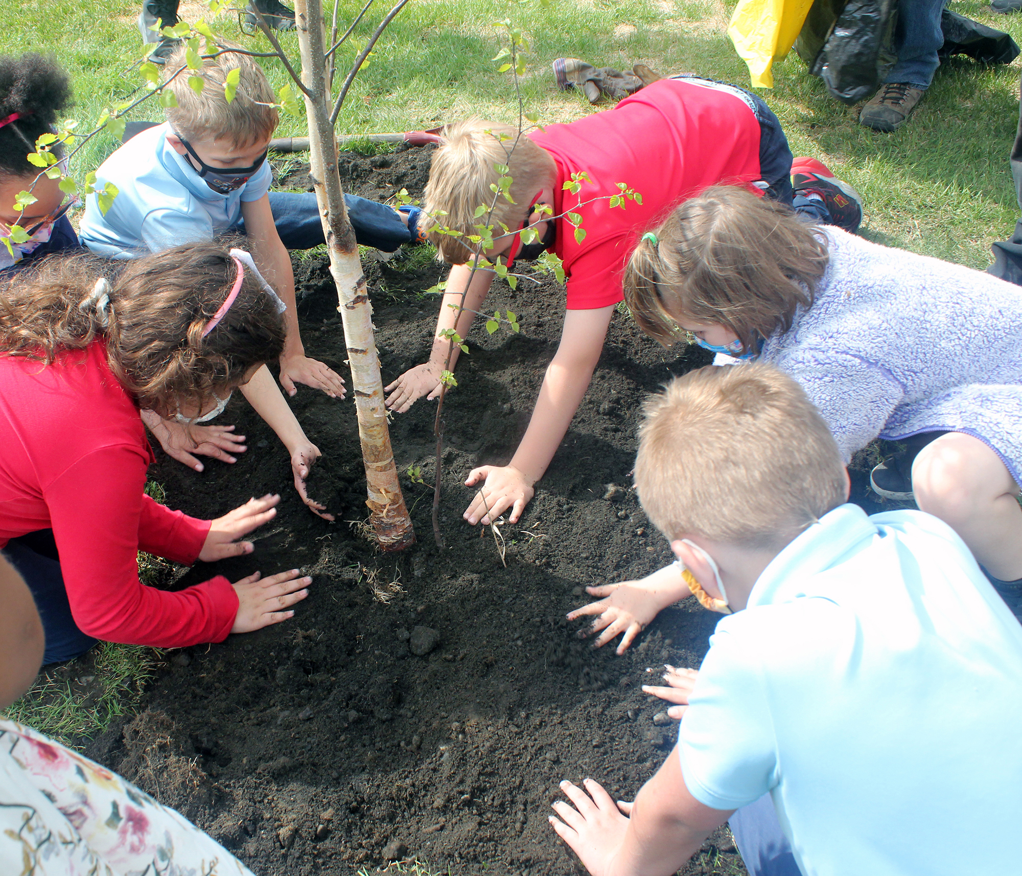 Alaska school students planting a tree.